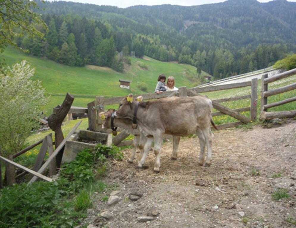 Appartamento Bauernof Mittermueller Velturno Esterno foto